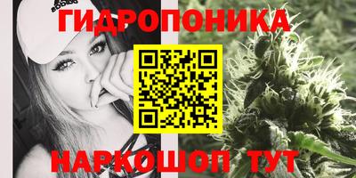тгк Ипатово