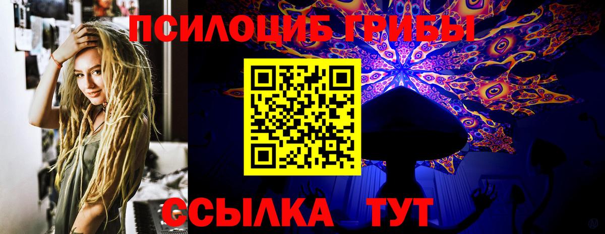 Красный Сулин  наркота  Вход с VPN  Псилоцибиновые грибы Psilocybine cubensis 